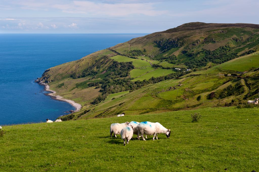 The Dark Hedges, Carrick-A-Rede, The Giants Causeway And So Much