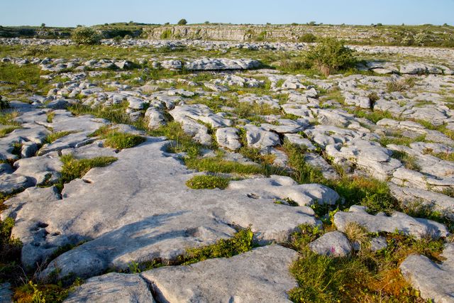 The Burren