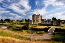 Trim Castle