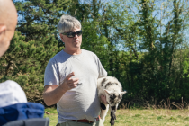 Wicklow mountains, Glendalough, Waterfall & Sheepdog Demo