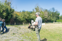 Wicklow mountains, Glendalough, Waterfall & Sheepdog Demo