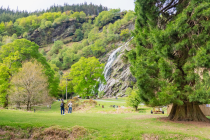 Wicklow mountains, Glendalough, Waterfall & Sheepdog Demo